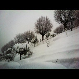Neve-a-Potenza-Picena-foto-di-Sara-Ruffini-36-300x300