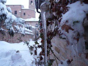 Neve-a-Potenza-Picena-foto-di-Sara-Ruffini-9-300x225