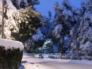 Neve-a-Recanati-foto-di-Luciana-Interlenghi-10-300x225