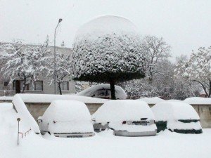 Neve-a-Recanati-foto-di-Luciana-Interlenghi-8-300x225