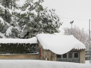 Neve a Recanati, foto di Luciana Interlenghi (8) Neve-a-Recanati-foto-di-Luciana-Interlenghi-81-300x224