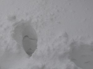 Neve a Recanati, foto di Luciana Interlenghi (9) Neve-a-Recanati-foto-di-Luciana-Interlenghi-91-300x224