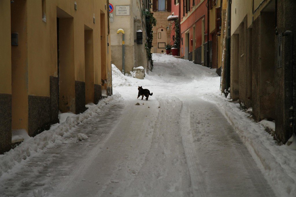 Neve-a-San-Severino-foto-di-Ivo-Di-Dionisio-5-1024x682