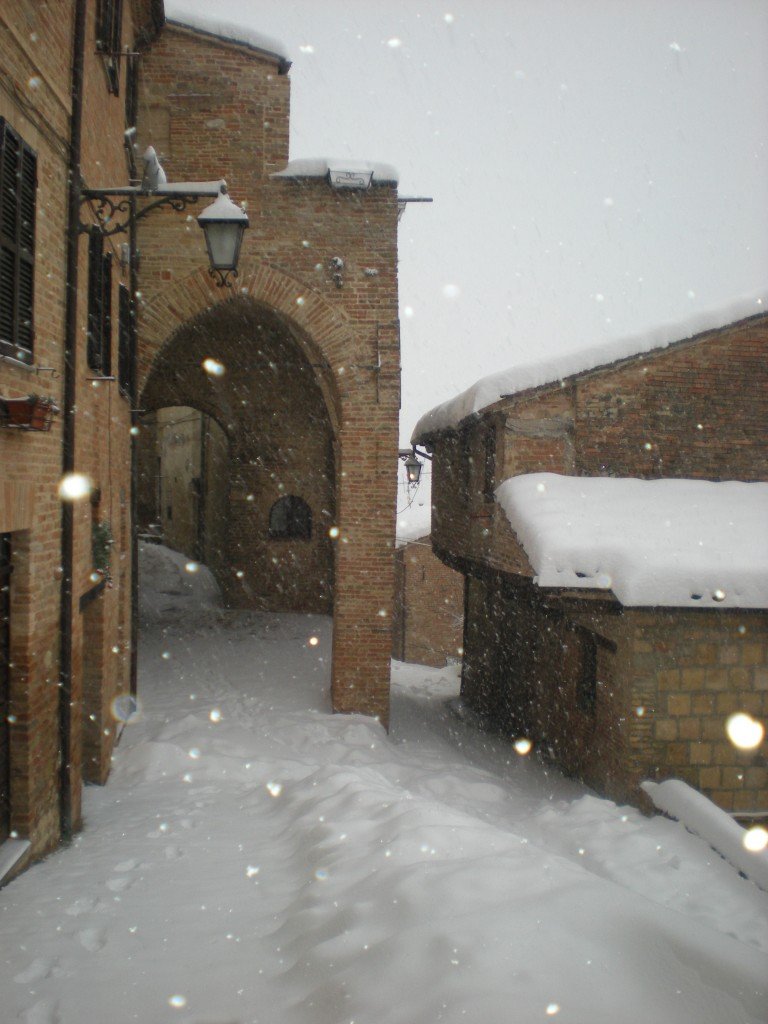 Neve-a-Sarnano-foto-di-Igor-Verolini-21-768x1024