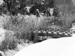 Neve-a-Tolentino-foto-di-Giuseppe-Cicconi-11-300x225