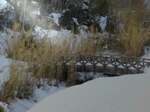 Neve-a-Tolentino-foto-di-Giuseppe-Cicconi-21-300x225