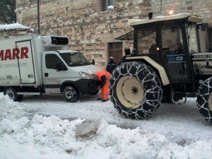 Neve36-300x225