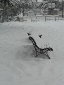 Neve5feb-Franca-Venanzetti-1-224x300