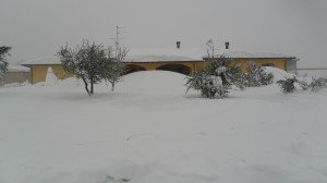 Neve5feb-Frontale-di-Apiro-Mauro-Nocelli-3-300x168