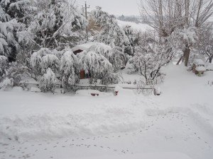 Neve5feb-Macerata-Francesca-Fina-1-300x225