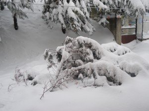 Neve5feb-Macerata-Francesca-Fina-2-300x225