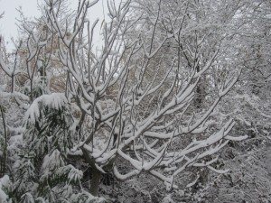 Neve5feb-Macerata-La-Pace-Mirka-1-300x225