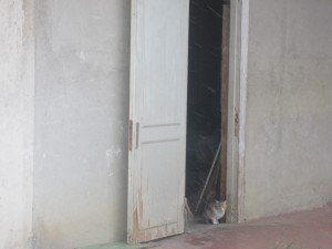 Neve5feb-Macerata-La-Pace-Mirka-3-300x225