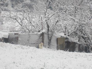 Neve5feb-Macerata-Mirka-3-300x225