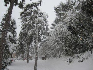 Neve5feb-Macerata-Mirka-300x225