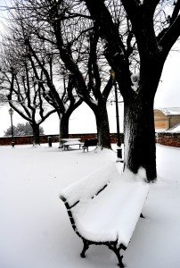 Neve5feb-Mogliano-Giulia-Piccinini-2-202x300