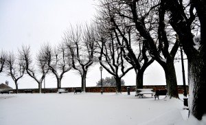 Neve5feb-Mogliano-Giulia-Piccinini-3-300x182