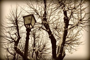 Neve5feb-Mogliano-Giulia-Piccinini-4-300x199