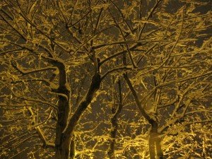 Neve5feb-Mogliano-Giulia-Picozzi-3-300x225