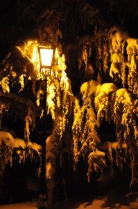 Neve5feb-Mogliano-Paolo-Piancatelli-2-2-199x300