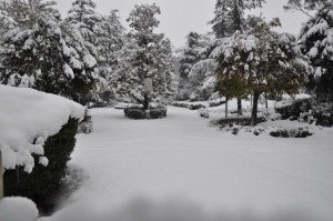 Neve5feb-San-Severino-Renzo-Carbonari-2-300x199