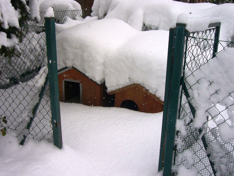 Neve6feb-Matelica-Anna-Maria-e-Simone-2