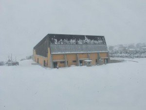 PALACINGOLANI-sotto-la-neve-1--300x225