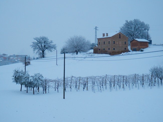 Tolentino - di Francesco P.