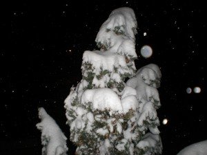 camerino_ermanno-_pieroni_neve-3-300x225