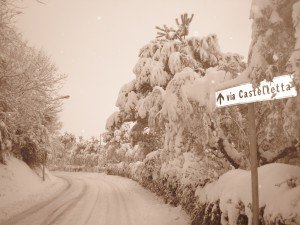 neve-a-petriolo