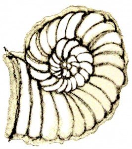 logo-irm