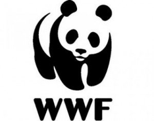 wwf wwf