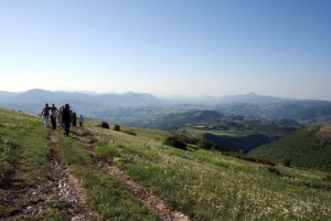GASfiastra_cupi