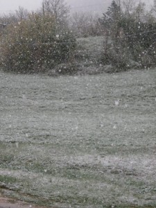 Muccia-Neve-Manuel-Casoni2-225x300
