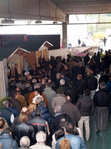 edilcentromarche_2012-4-224x300