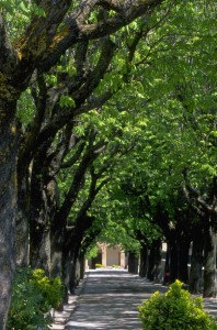 gualdo-2-198x300