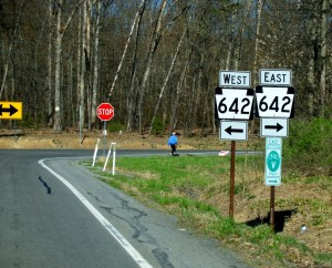 lambertucci-usa