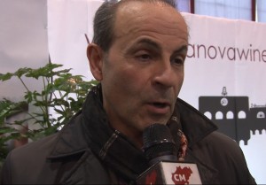 modesti modesti