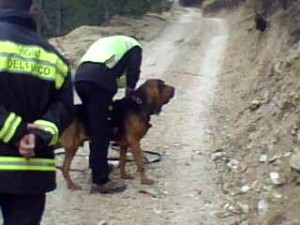 ricerche-anziano-Fiuminata-3-300x225