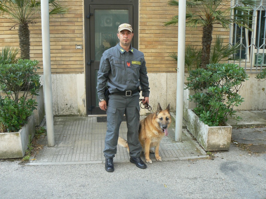 unità cinofila unità-cinofila