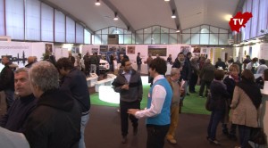 wine-festival-2-300x166