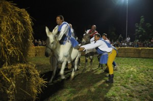 Cavaliere Parioli Cavaliere-Parioli