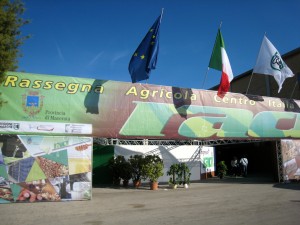 raciingresso
