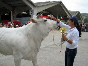 salcicciaOsimo