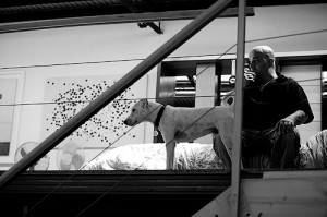 Franko_dog_bw Franko_dog_bw