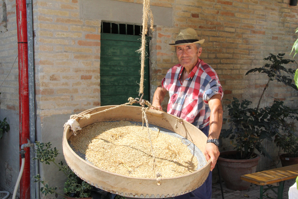 G - Il concia grano G-Il-concia-grano