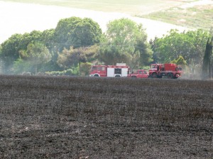 Incendio-sulla-Cingolana-1-300x224