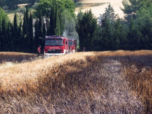 Incendio-sulla-Cingolana-11-300x224