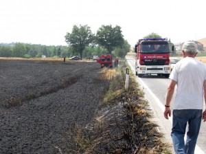 Incendio-sulla-Cingolana-8-300x224