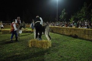cavalieri-41-300x199